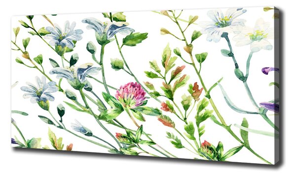 Imprimare tablou canvas flori de câmp