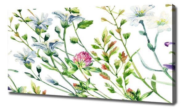 Imprimare tablou canvas flori de câmp