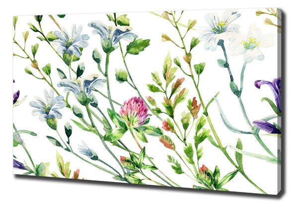 Imprimare tablou canvas flori de câmp