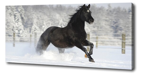 Print pe pânză Un cal în galop de zăpadă