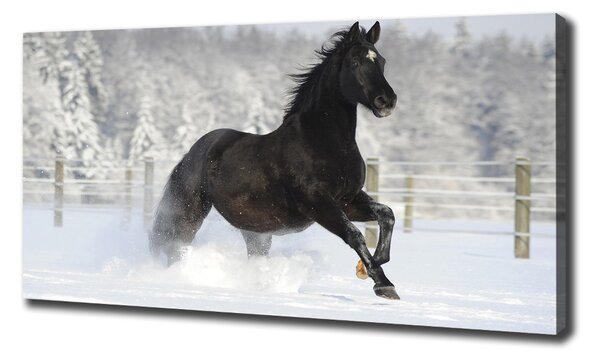 Print pe pânză Un cal în galop de zăpadă