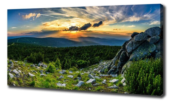Print pe pânză panorama de munte