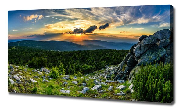Print pe pânză panorama de munte