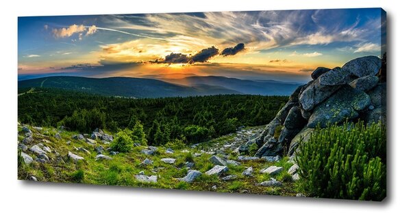 Print pe pânză panorama de munte