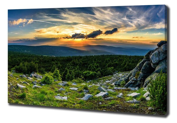 Print pe pânză panorama de munte