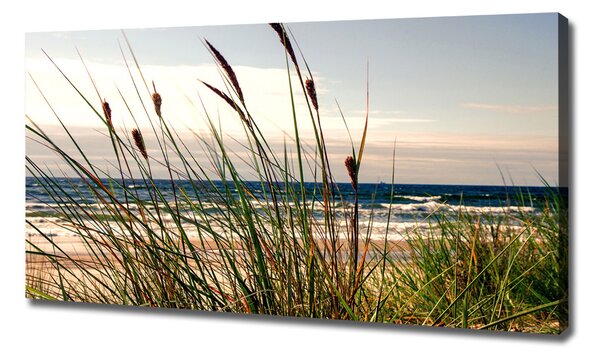 Tablou pe pânză canvas dune de coastă