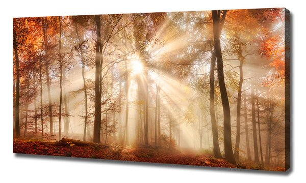 Print pe canvas Ceață în toamna anului pădure