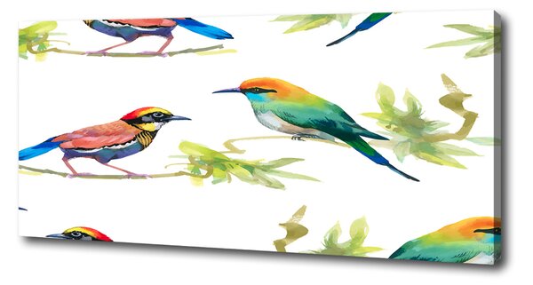 Tablou canvas păsări exotice