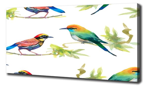 Tablou canvas păsări exotice