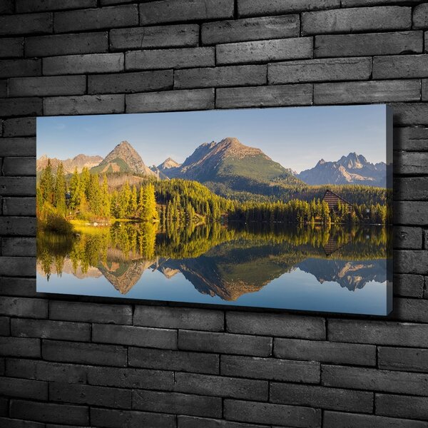 Print pe pânză Panorama Tatry