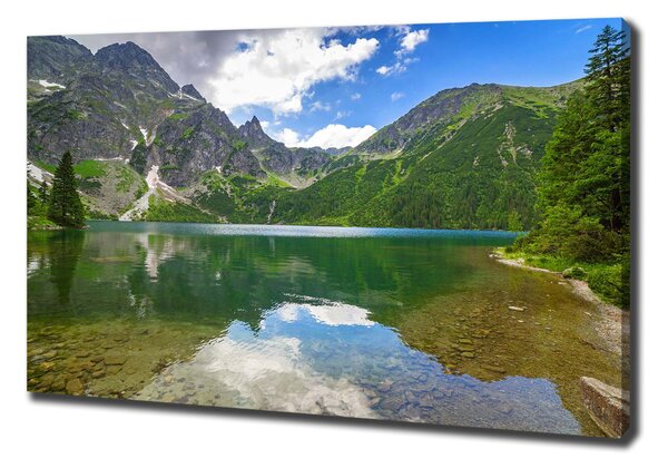 Imprimare tablou canvas Marine ochi Tatry