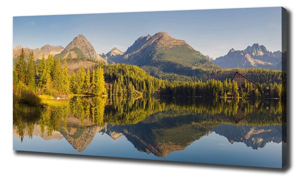 Print pe pânză Panorama Tatry