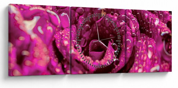 Tabloul cu floarea trandafirului roz (cu ceas) (90x30 cm)