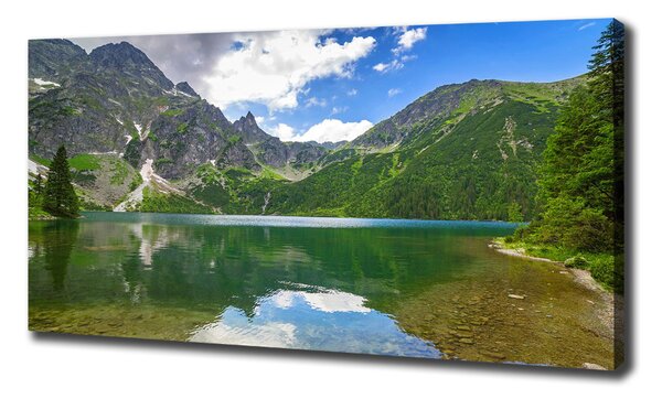 Imprimare tablou canvas Marine ochi Tatry