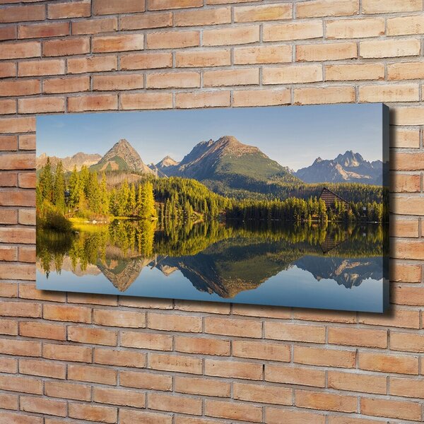 Print pe pânză Panorama Tatry