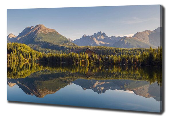 Print pe pânză Panorama Tatry