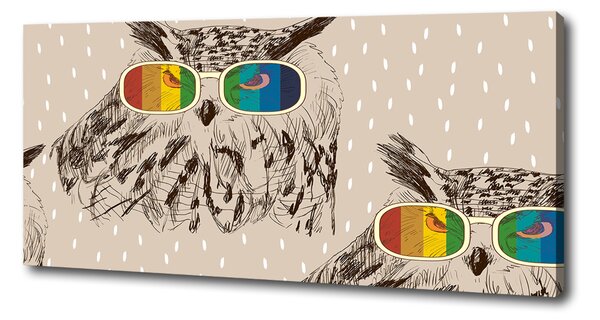 Tablouri tipărite pe pânză Owls ochelari