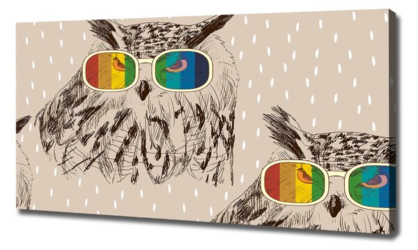 Tablouri tipărite pe pânză Owls ochelari