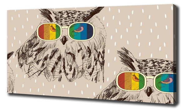 Tablouri tipărite pe pânză Owls ochelari