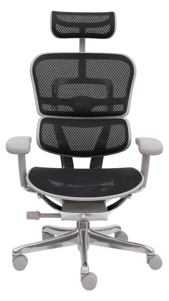 Scaun de birou Ergohuman 2 Elite GS Black