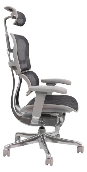 Scaun de birou Ergohuman 2 Elite GS Black