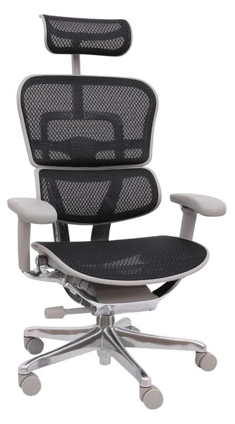 Scaun de birou Ergohuman 2 Elite GS Black