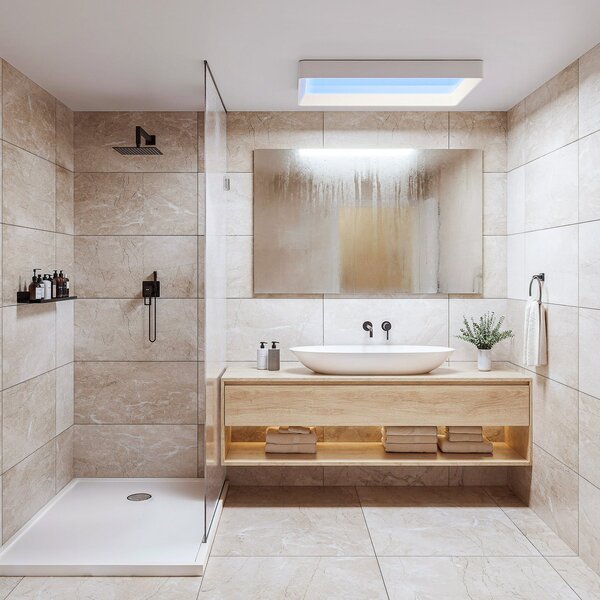 Philips Plafonieră LED SKYLIGHT, 65 x 45 cm, albă, CCT IP44, reglabil, Alb, Camera de zi / sufragerie, Plastic, Modern