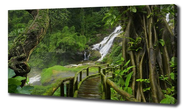 Pictură pe pânză Cascada din junglă
