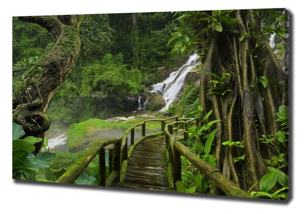 Pictură pe pânză Cascada din junglă