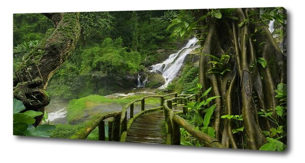 Pictură pe pânză Cascada din junglă