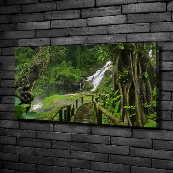 Pictură pe pânză Cascada din junglă
