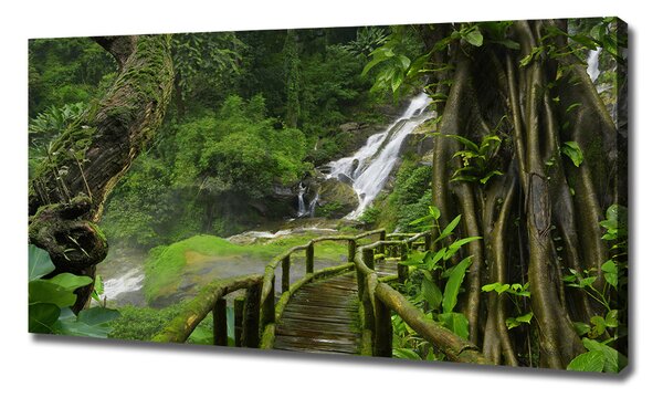 Pictură pe pânză Cascada din junglă