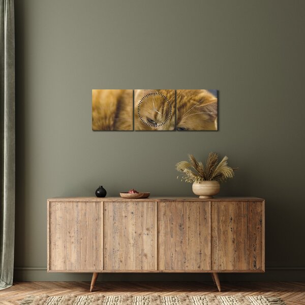Tablou cu pisica (cu ceas) (90x30 cm)