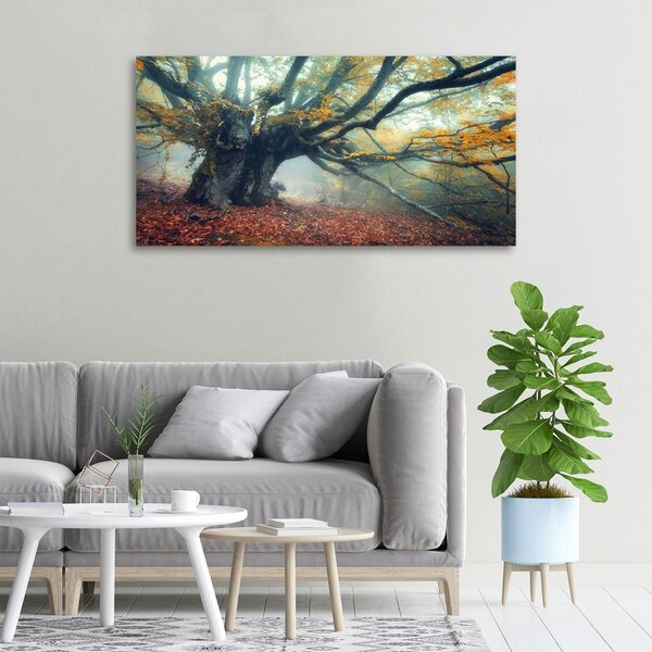 Tablou pe pânză canvas copac vechi