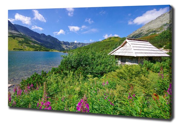 Tablouri tipărite pe pânză Cabană în munții Tatra