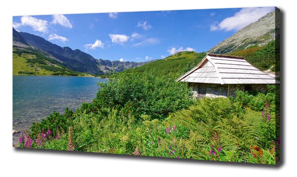 Tablouri tipărite pe pânză Cabană în munții Tatra