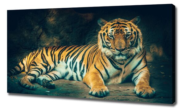Print pe canvas Tiger Cave