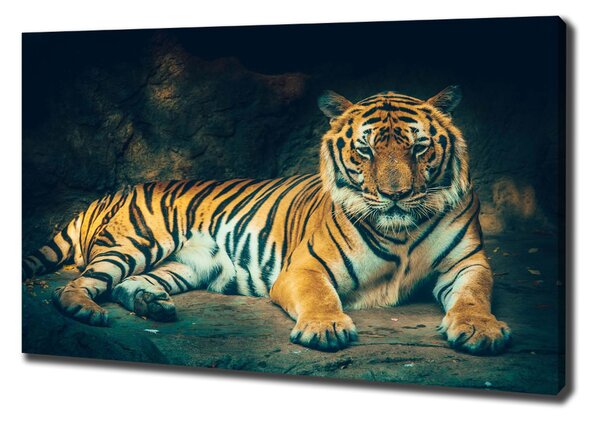 Print pe canvas Tiger Cave