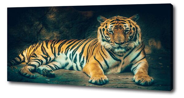 Print pe canvas Tiger Cave