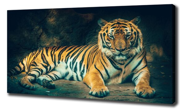 Print pe canvas Tiger Cave
