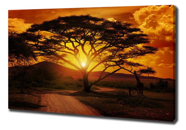 Pictură pe pânză Africa de Vest