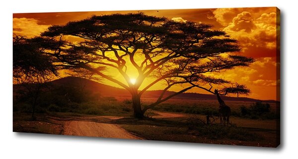 Pictură pe pânză Africa de Vest