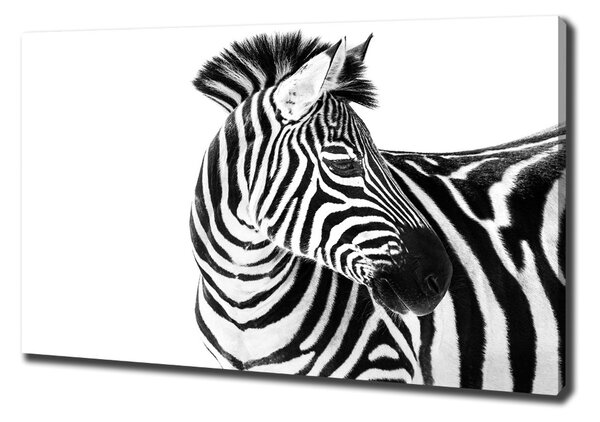 Tablouri tipărite pe pânză Zebra în zăpadă