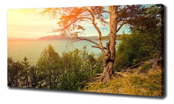Tablou canvas lac Scandinavia