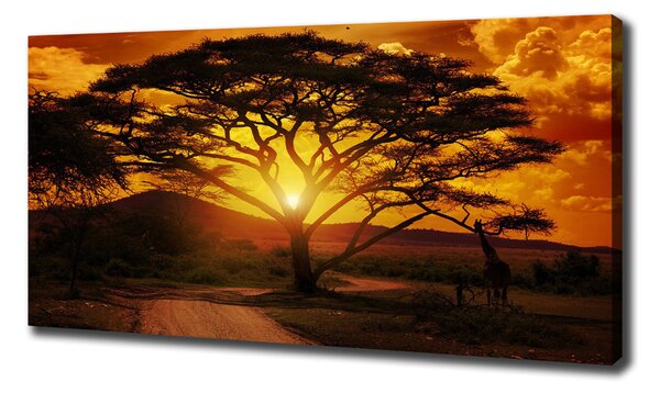 Pictură pe pânză Africa de Vest