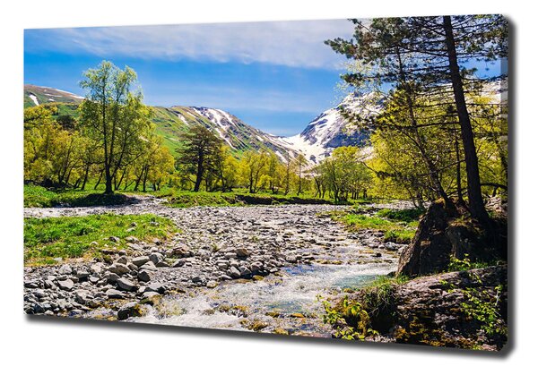 Tablou pe pânză River în munți