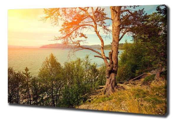 Tablou canvas lac Scandinavia