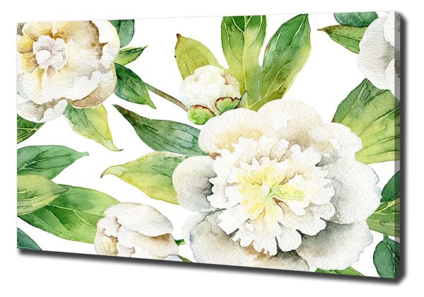 Tablou pe pânză canvas Bujori