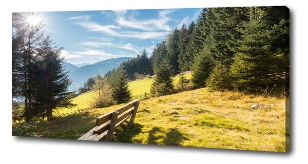 Tablou canvas Toamna în munți