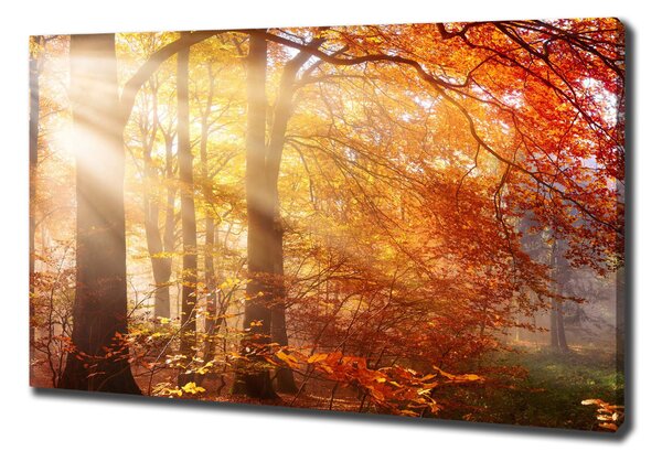 Imprimare tablou canvas pădure de toamnă
